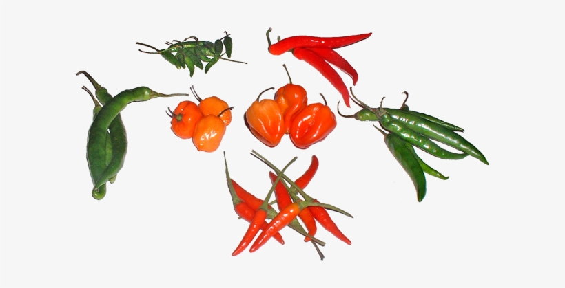 All Peppers Used In This Experiment - Types Of Hot Peppers, transparent png download