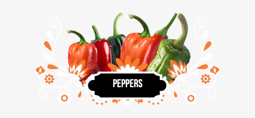 Mexican Cuisine, transparent png download