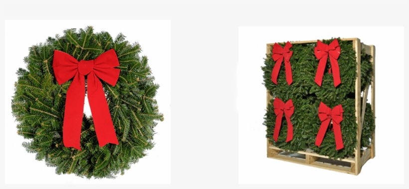 Wholesale Fresh Christmas Wreaths - Fresh Christmas Wreaths Wholesale, transparent png download