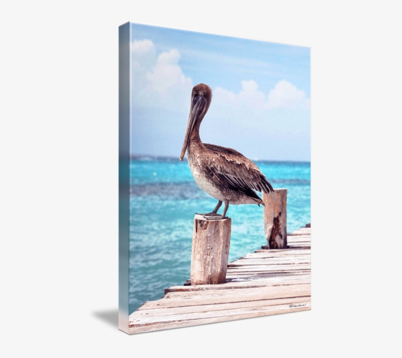"treasure Coast Pelican Pier Sunrise Seascape C" By - Pelican On Pier, transparent png download