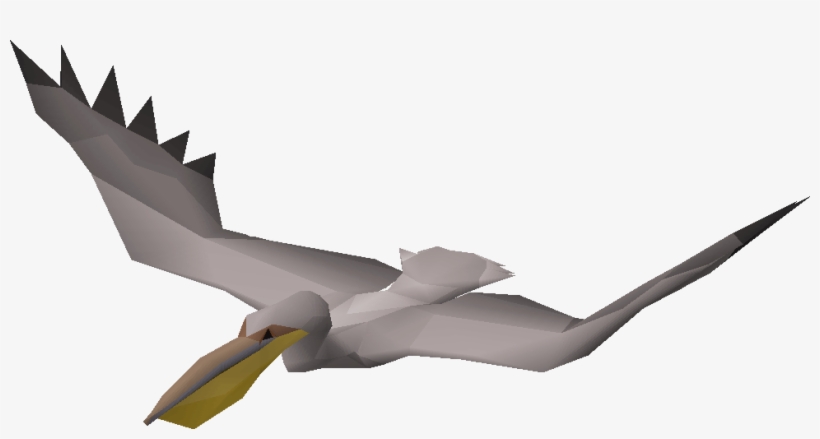 Pelican - Model Aircraft, transparent png download