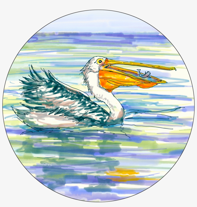 Stork, transparent png download