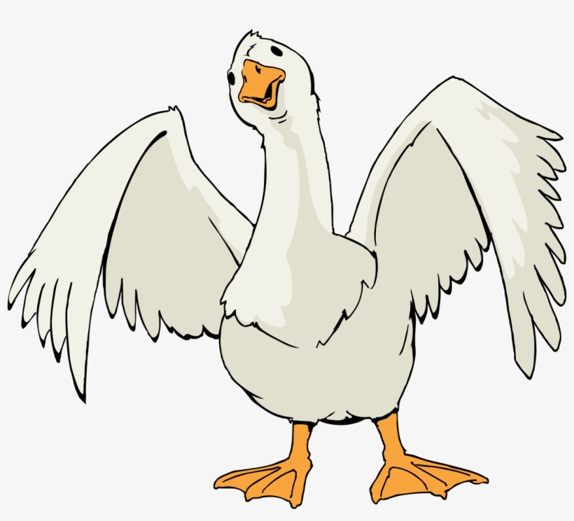 Tags - - Public Domain Bird Art, transparent png download