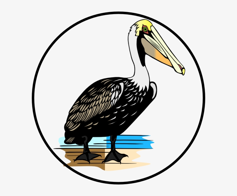 Original Png Clip Art File Pelican Svg Images Downloading Transparent Png 600x600 Free Download On Nicepng