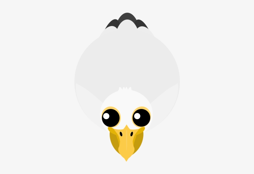Pelican3 - Cartoon, transparent png download