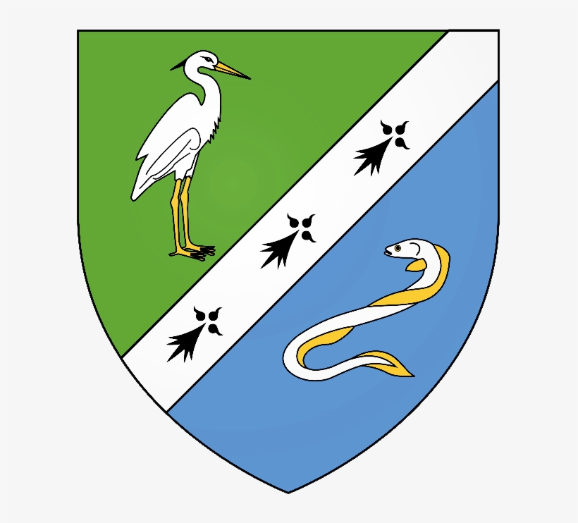 Green Heron Clipart Virginia - Water Bird, transparent png download