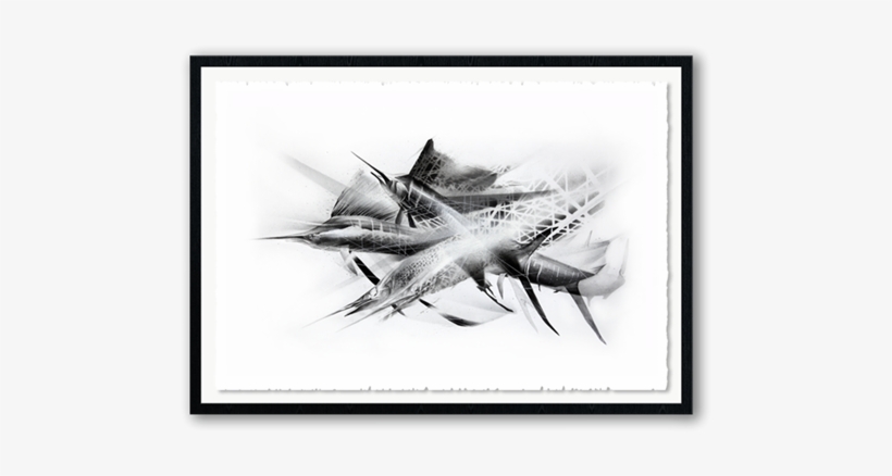 Caught In The Net By Li-hill - Long Island, transparent png download