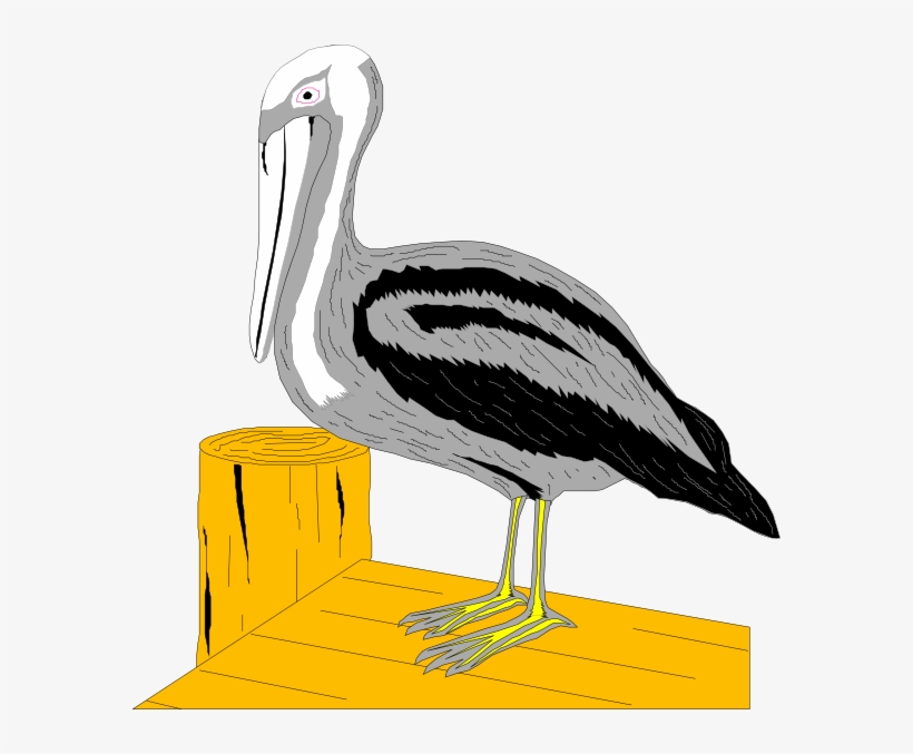 Pelican On Dock Svg Clip Arts 582 X 597 Px, transparent png download