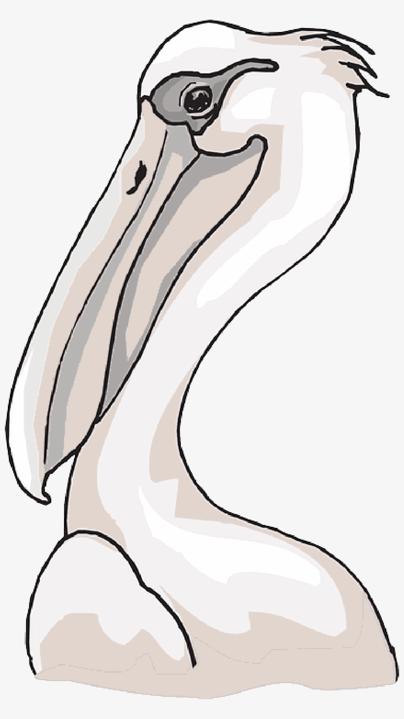 Mb Image/png - Beak, transparent png download