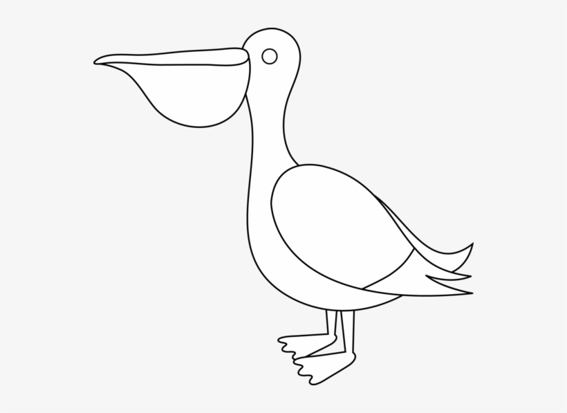Brds Clipart Pelican - Seabird, transparent png download