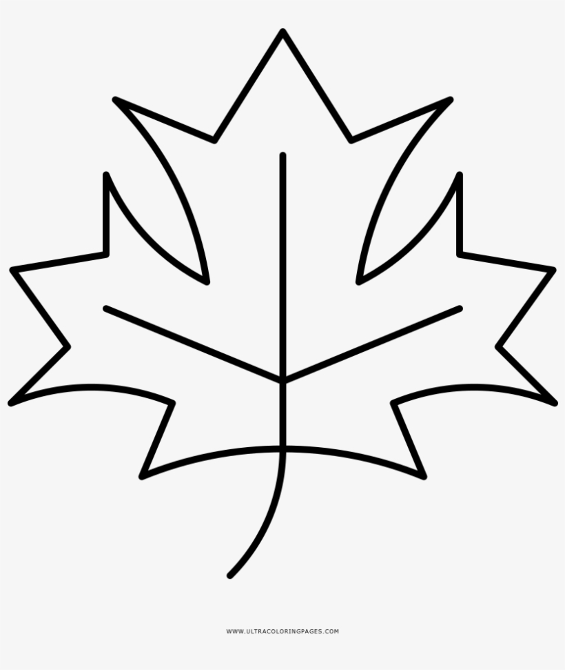 Colorings Maple Leaf - Hoja De Maple Dibujo Png, transparent png download