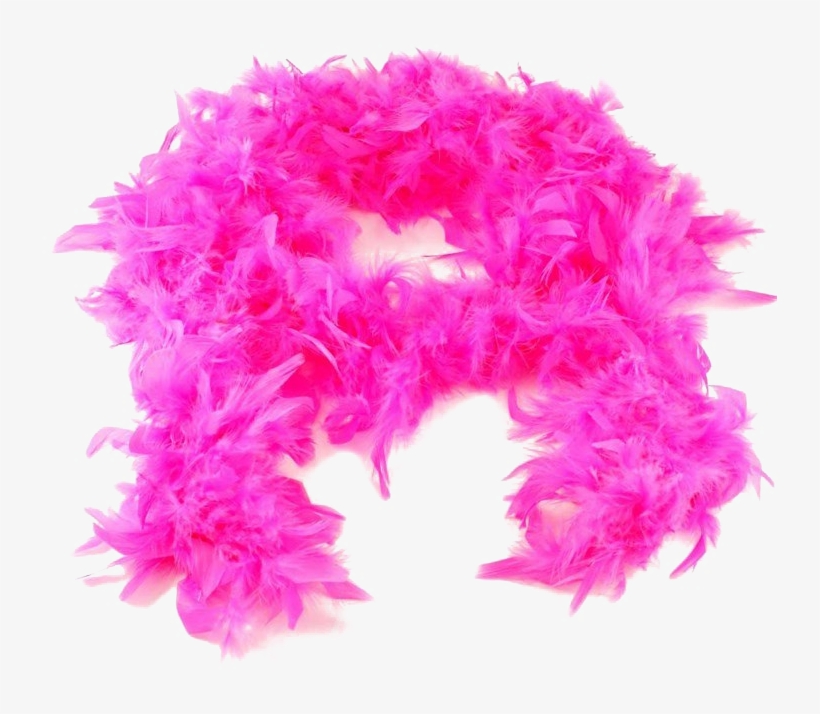 Feather Boa Png Highquality Image Costume Transparent PNG 750x682