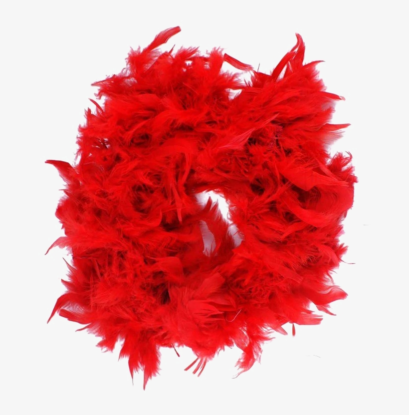 Feather Boa Png Free Download - Feather Boa, transparent png download