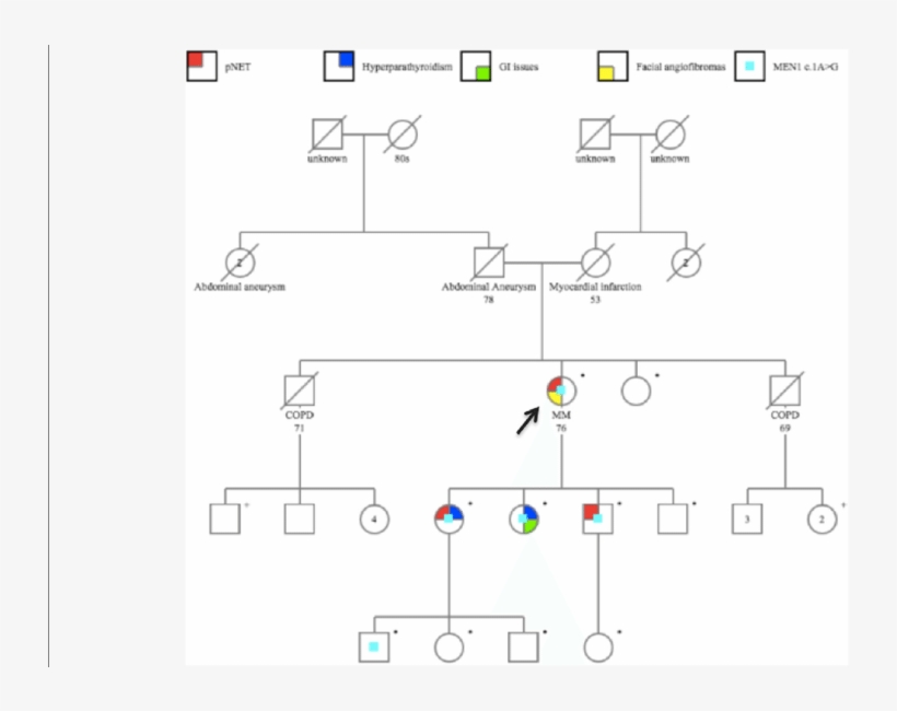 Pedigree-the Black Arrow Indicates The Proband - Proband, transparent png download
