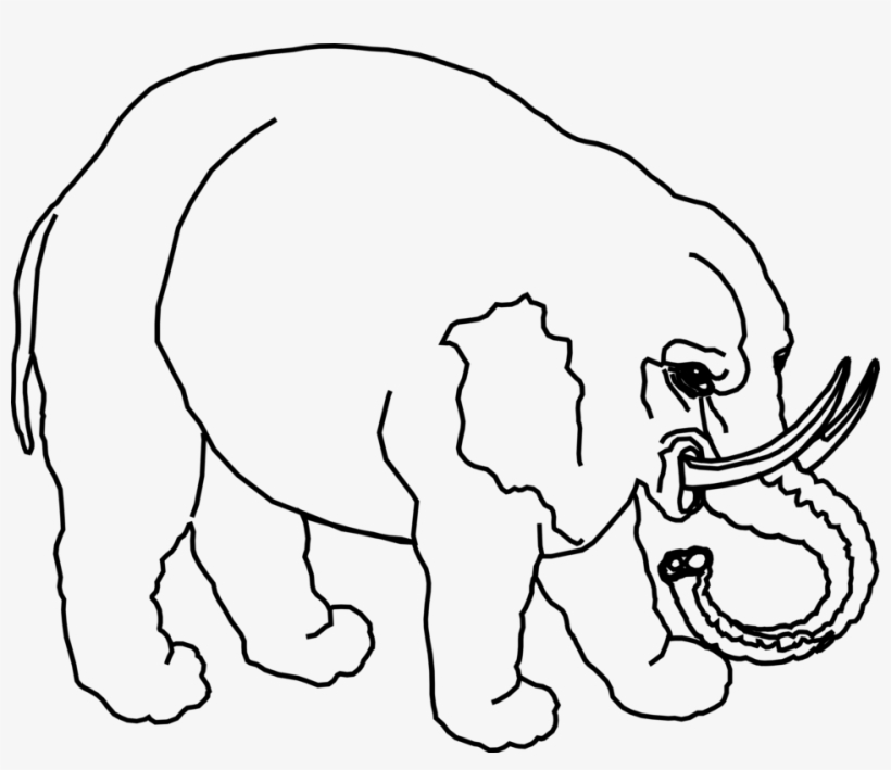 Free Stock Photos - Elephant, transparent png download