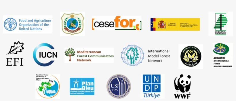 About 6th Mfw - Circle, transparent png download