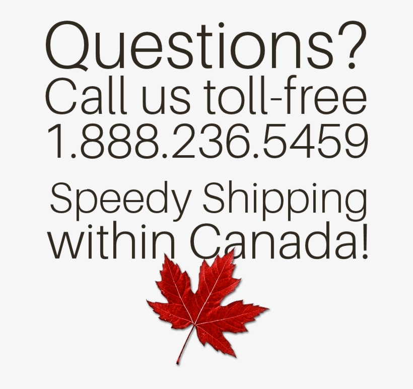 The Costume Shoppe - Maple Leaf Fall Canada Tree Fan Gift T Shirt, transparent png download