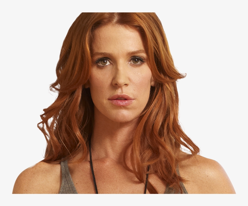 Television, transparent png download