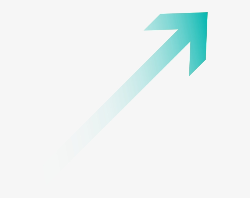 2019, transparent png download