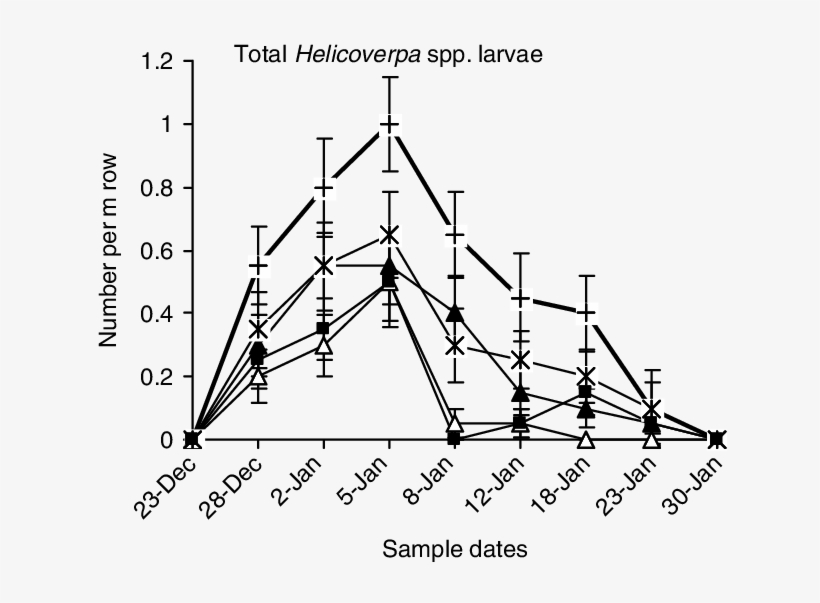 Time Series Showing The Mean Numbers Per M Row Of All - Triangle, transparent png download