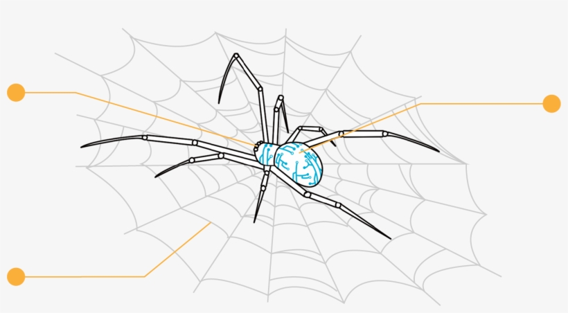 Pantide - Spider Web, transparent png download
