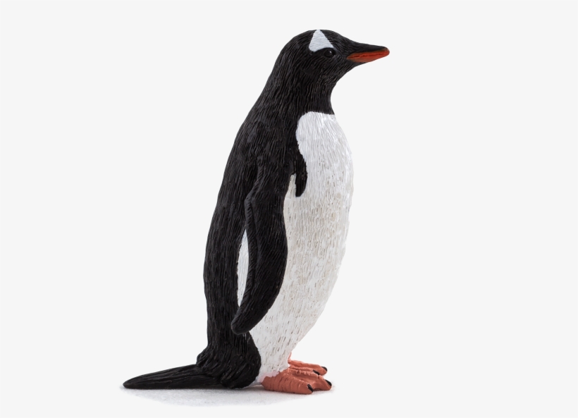 Animal Planet - Gentoo Penguin, transparent png download