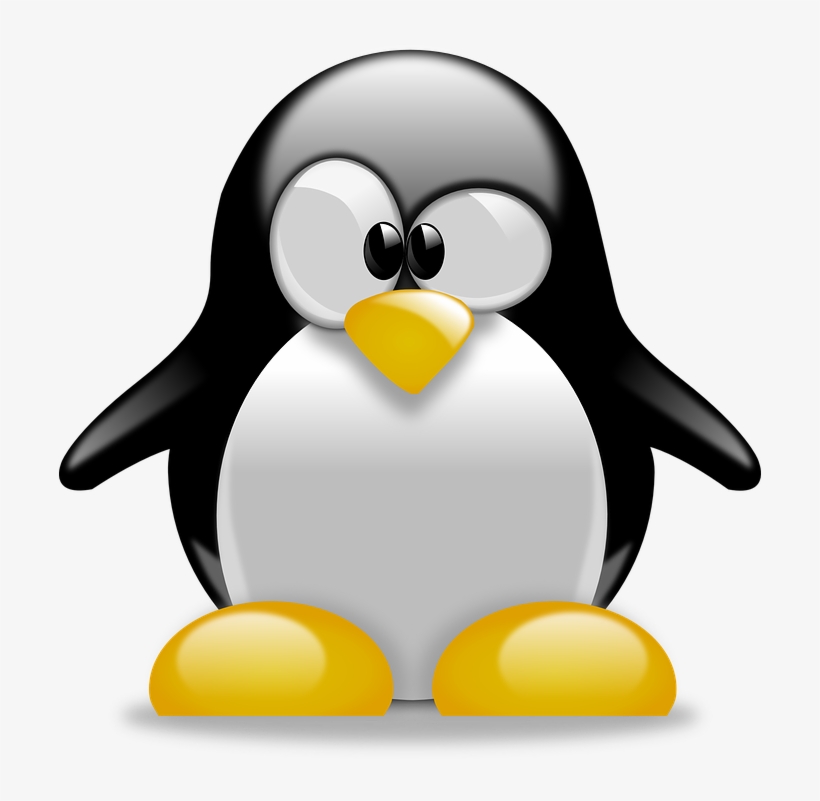 Penguin - Tux, transparent png download