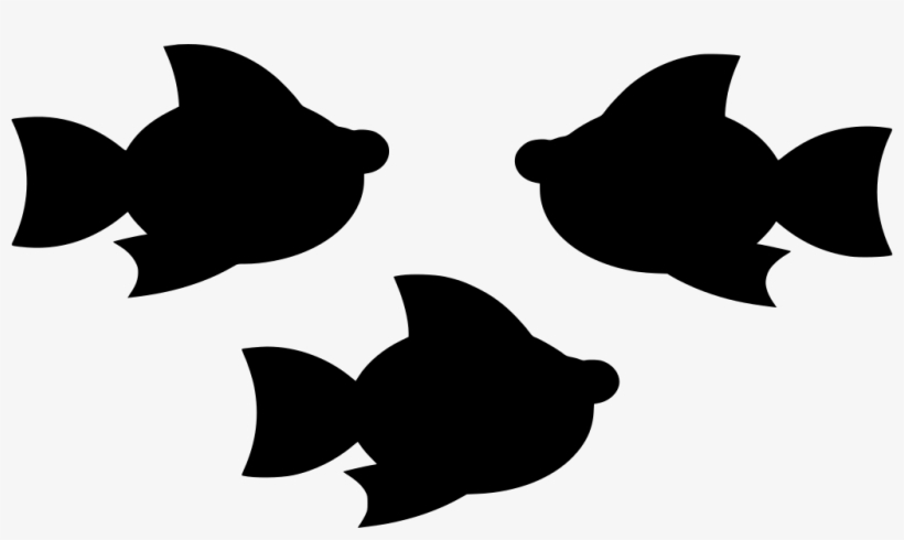 Download Png - Png Peixes, transparent png download