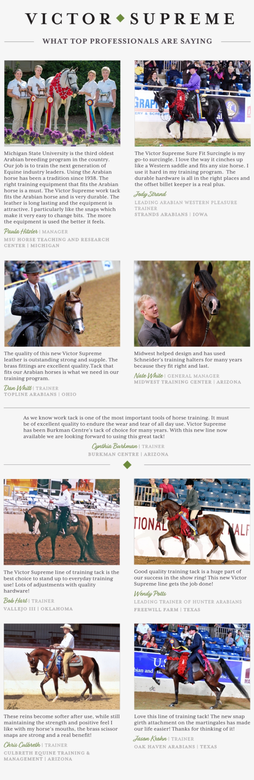 What Top Professionals Are Saying About Victor Supreme - Horse, transparent png download