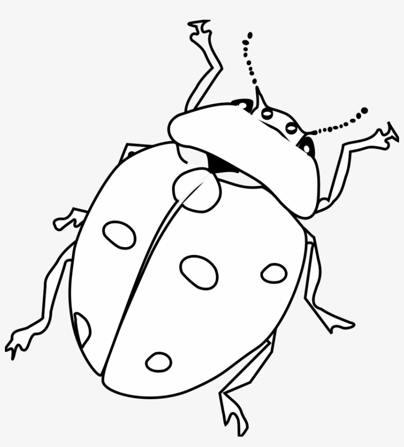 How To Set Use Ladybug Line Art Icon Png, transparent png download