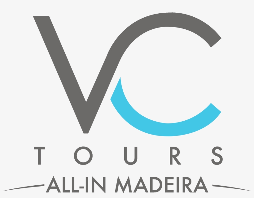 Vctours - The Penguin Writer's Manual, transparent png download