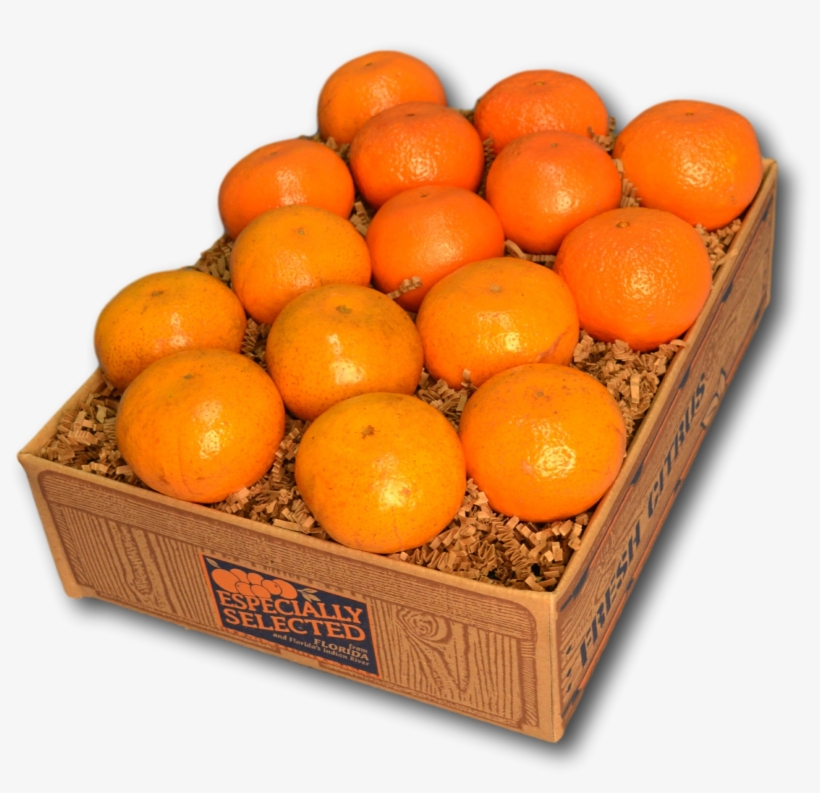 Blood Orange, transparent png download