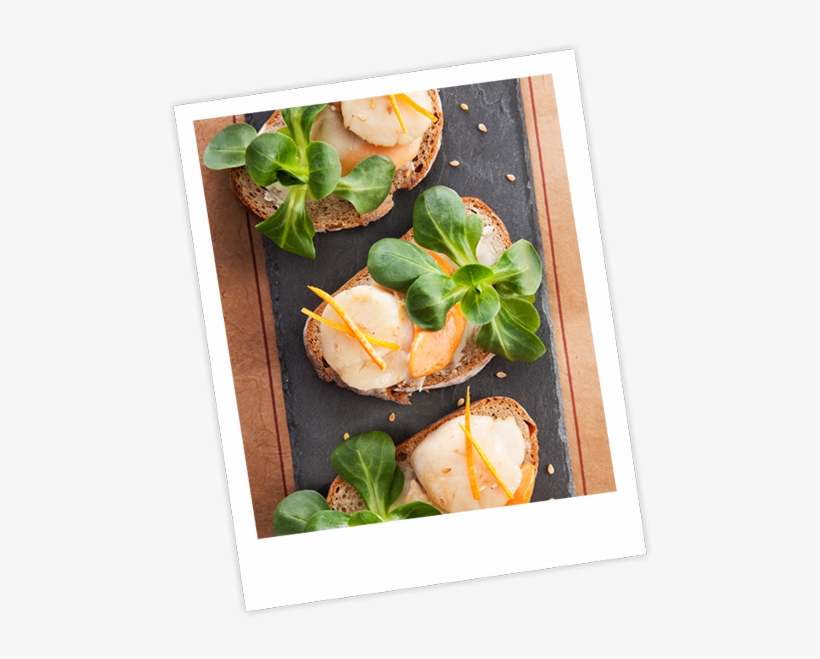 Great Scallop, transparent png download