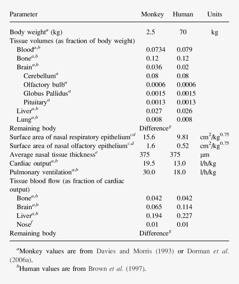 Physiological Parameters For Monkeys And Humans - Human, transparent png download