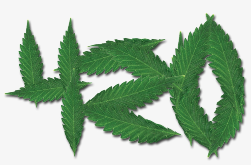 420 Merchandise - Portable Network Graphics, transparent png download