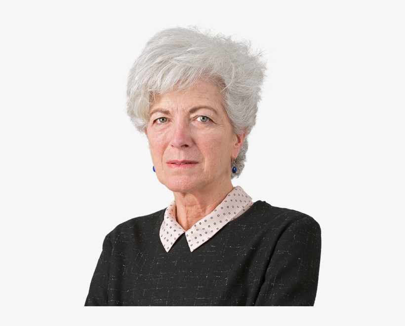 Thanks, David Dimbleby - Anne Perkins Guardian, transparent png download