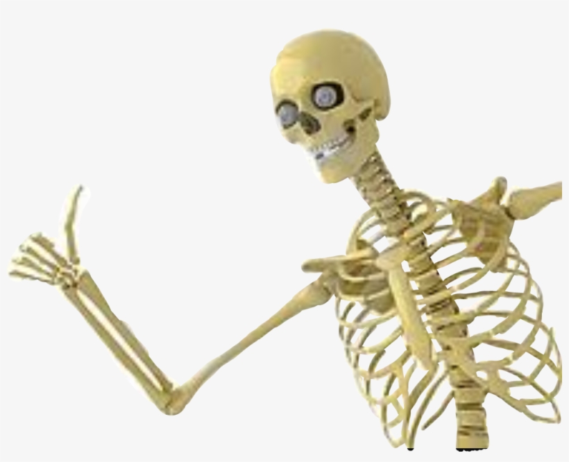 Report Abuse - Skeleton Thumbs Up, transparent png download