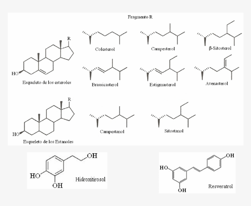 Estructuras Representativas De Diferentes Fitoquímicos - Structure, transparent png download