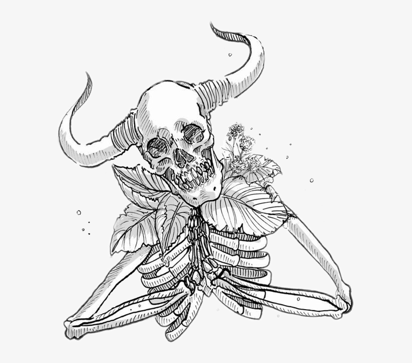 Png Black And White Taurus Tauro Horns Cuernos Cuerno - Shitty Horoscopes Taurus, transparent png download
