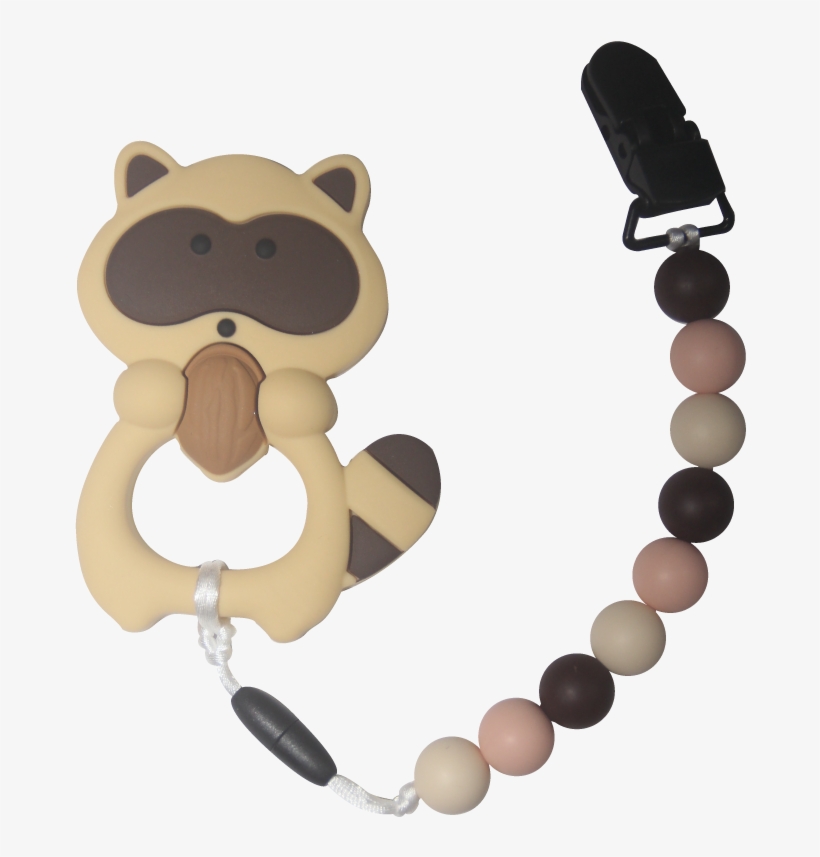 Raccoon, transparent png download