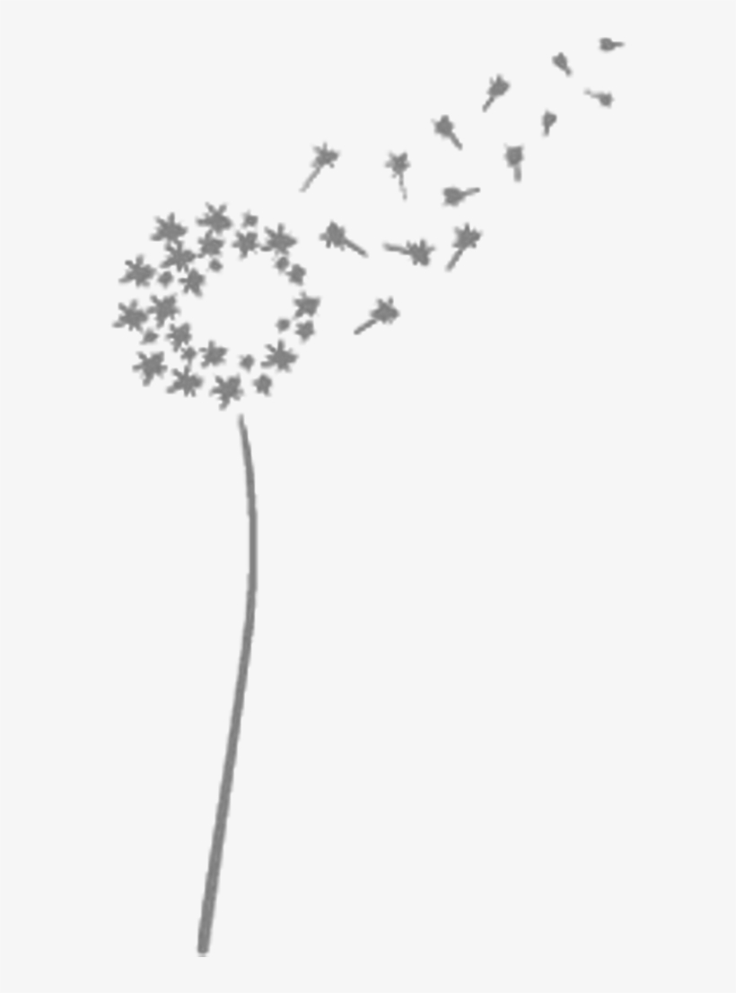 Freetoedit Png Dandelion Dandelionseeds Transparentback - Love, transparent png download