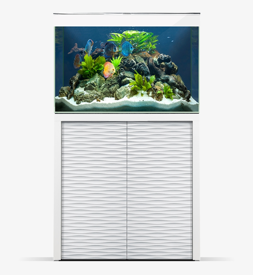 Emotions One - Ciano - Emotions Nature One 80 Aquarium Black (152l), transparent png download