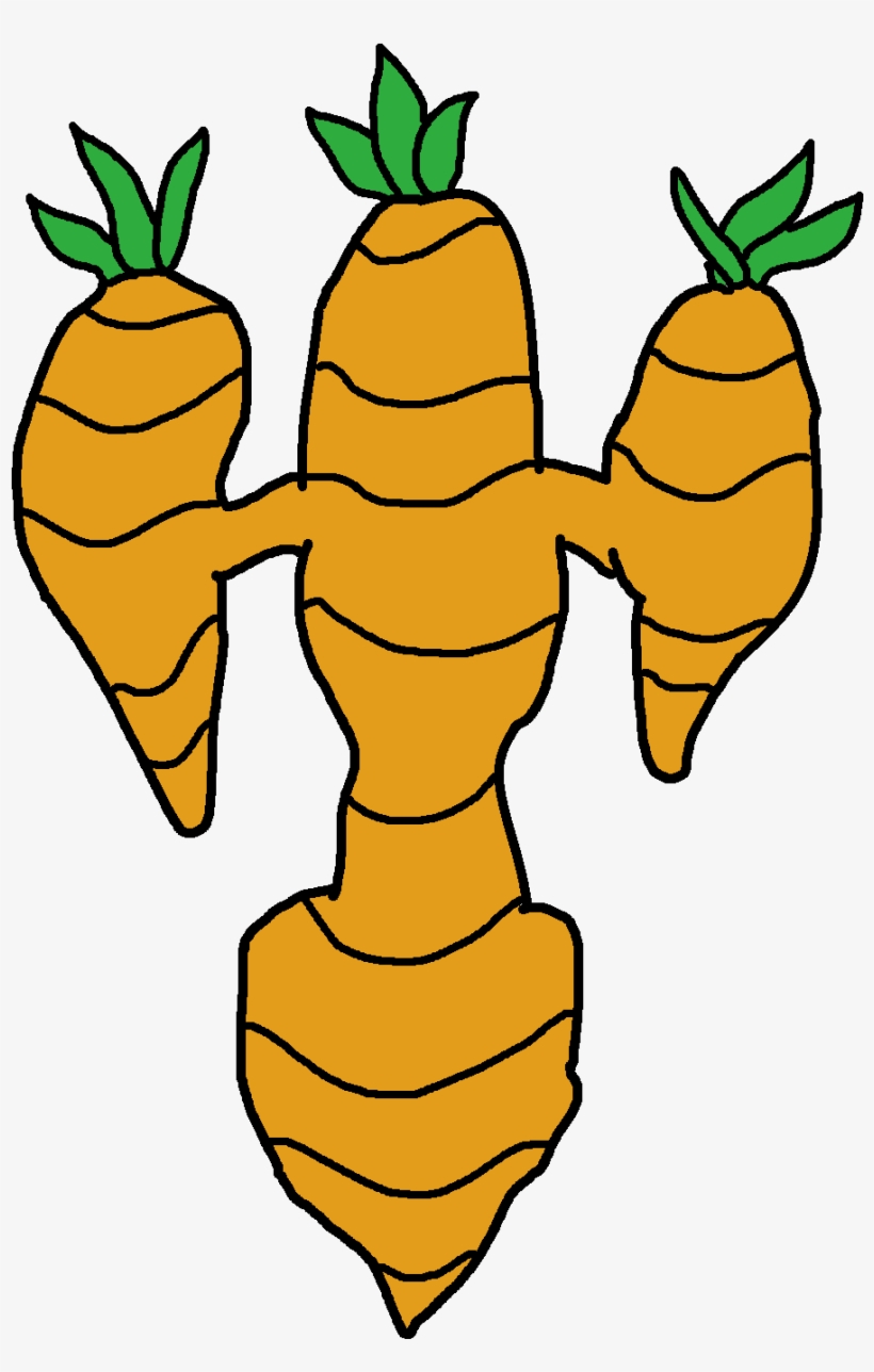 Megacarrotsportsresort - Saifi Screens, transparent png download