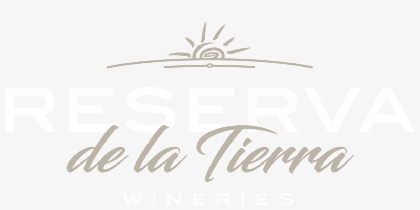 Blink Twice, transparent png download