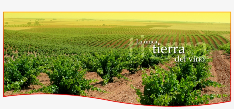 Location - Tierra Del Vino Zamora, transparent png download