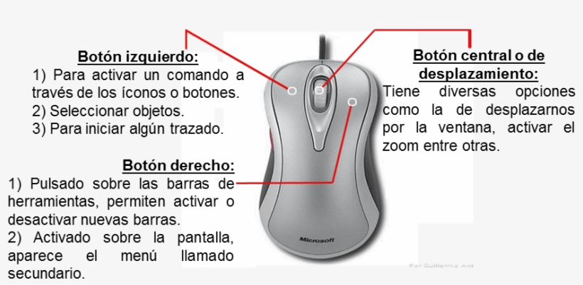 Existe Una Gran Variedad De Ratones En El Mercado, - Mouse Y Sus Funciones, transparent png download