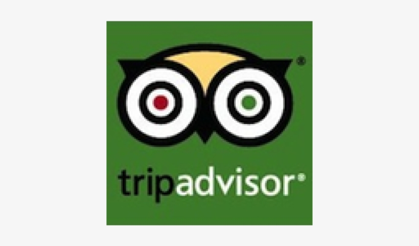 Tripadvisor 03/01/2018 - Tripadvisor Interactive Luggage Tag - Tripadvisor Owl, transparent png download