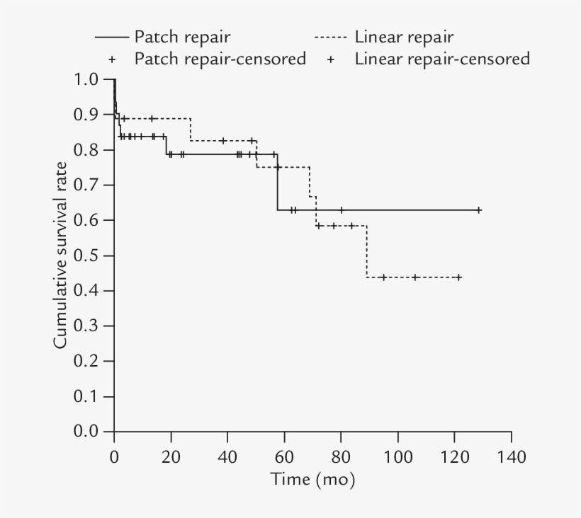 Cumulative Survival For All Patients Who Underwent - Diagram, transparent png download