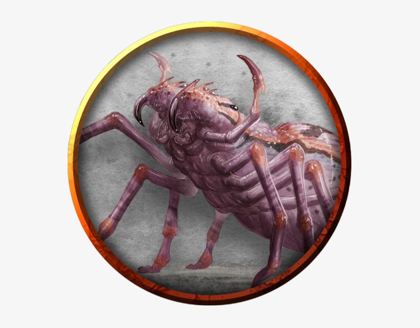 Giant Spider - Monster, transparent png download