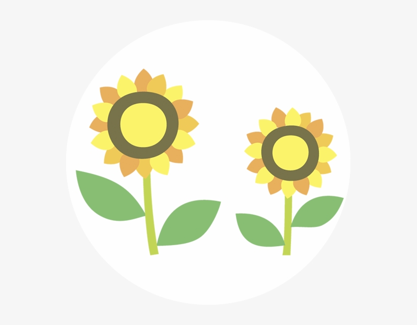 Flowers - Circle, transparent png download
